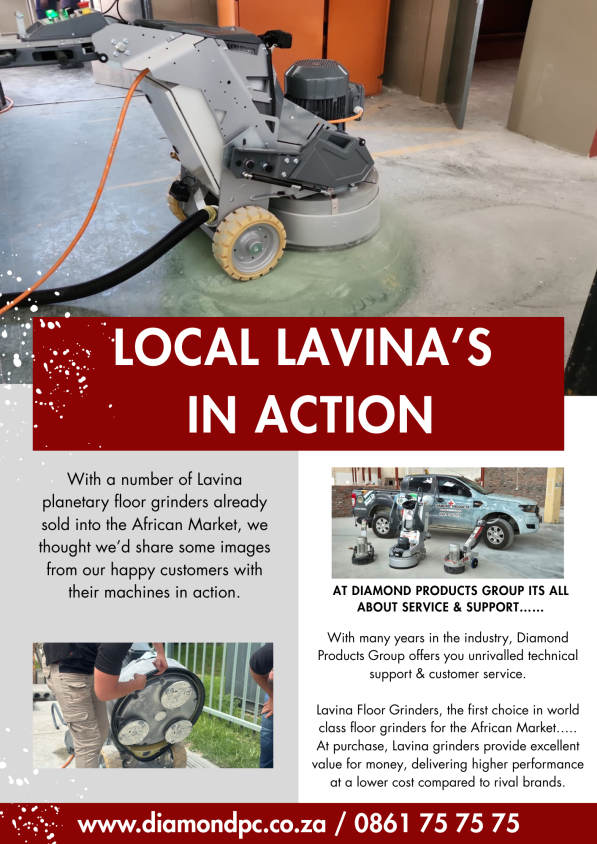 lavina-in-action
